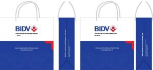 In túi giấy doanh nghiệp cần chú ý điều gì? 5 Mẫu in túi giấy của BIDV