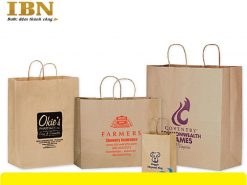 mẫu in túi giấy kraft đẹp