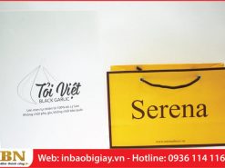 in túi giấy giá rẻ