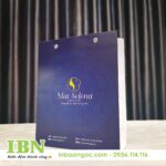 In Túi Giấy Giá Rẻ Tại HCM 73 in túi giấy ép kim tại tphcm