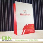 In Túi Giấy Giá Rẻ Tại HCM 74 in túi giấy ép kim