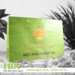 In Túi Giấy Giá Rẻ Tại HCM 62 mẫu in túi giấy kraft