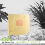 In Túi Giấy Giá Rẻ Tại HCM 63 mẫu in túi giấy kraft