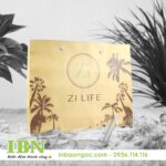 In Túi Giấy Giá Rẻ Tại HCM 64 mẫu in túi giấy kraft