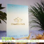 In Túi Giấy Giá Rẻ Tại HCM 53 mẫu in túi giấy thời trang