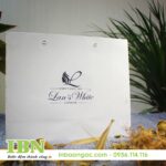 In Túi Giấy Giá Rẻ Tại HCM 52 mẫu in túi giấy thời trang