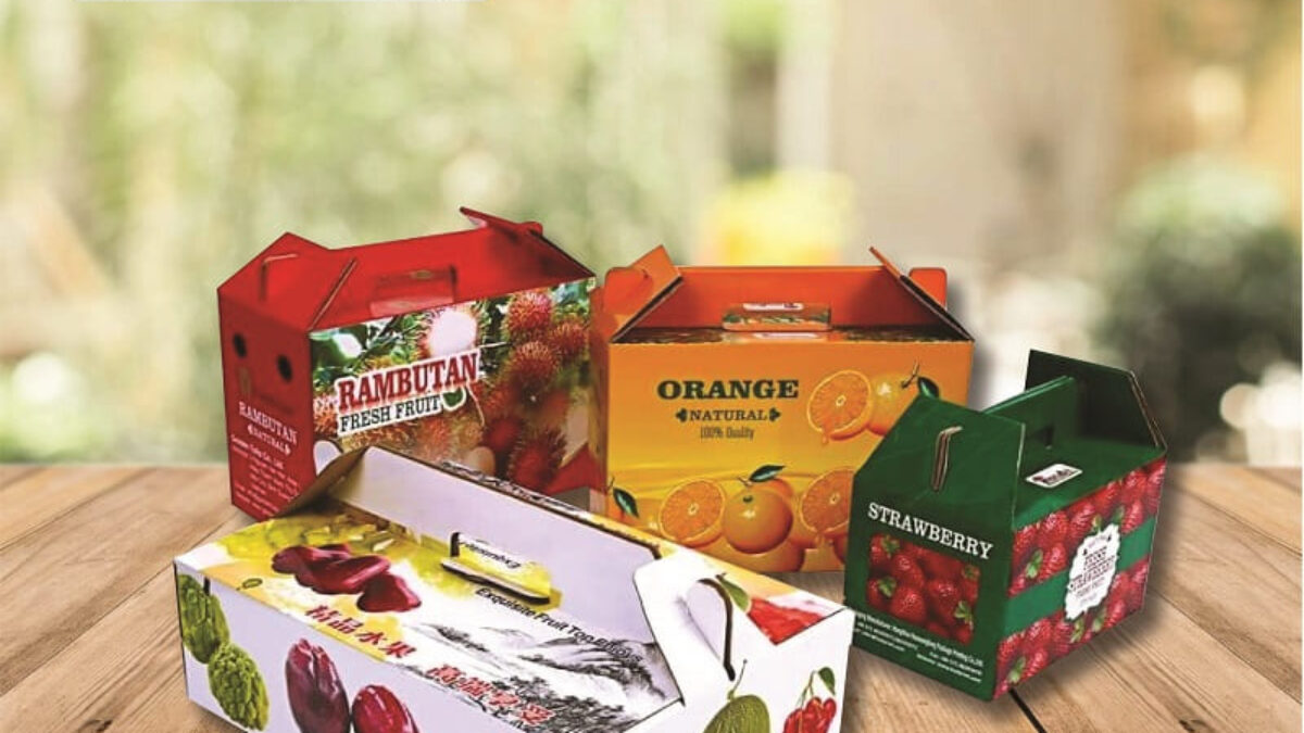 Thùng Carton Đựng Trái Cây Xuất Khẩu Giá Rẻ Tại Xưởng | In Bảo Ngọc