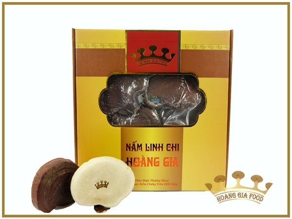 in hop giay dung nam linh chi (4)