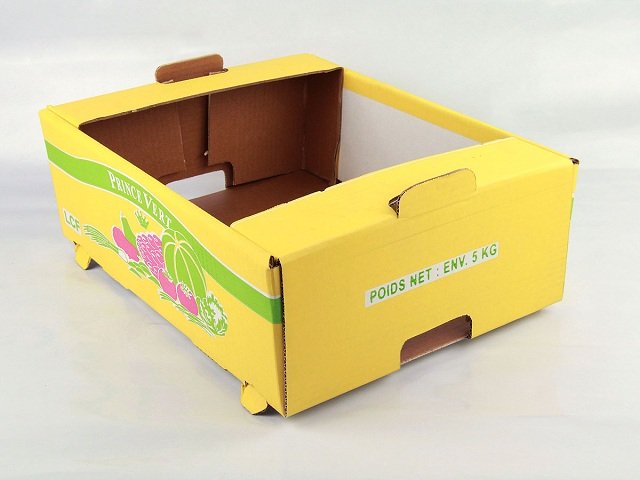 mẫu thùng carton thông dụng