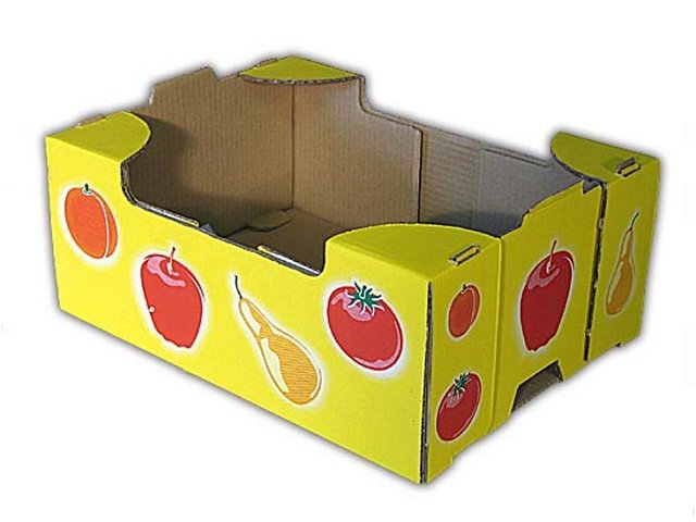 mẫu thùng carton trái cây thông dụng