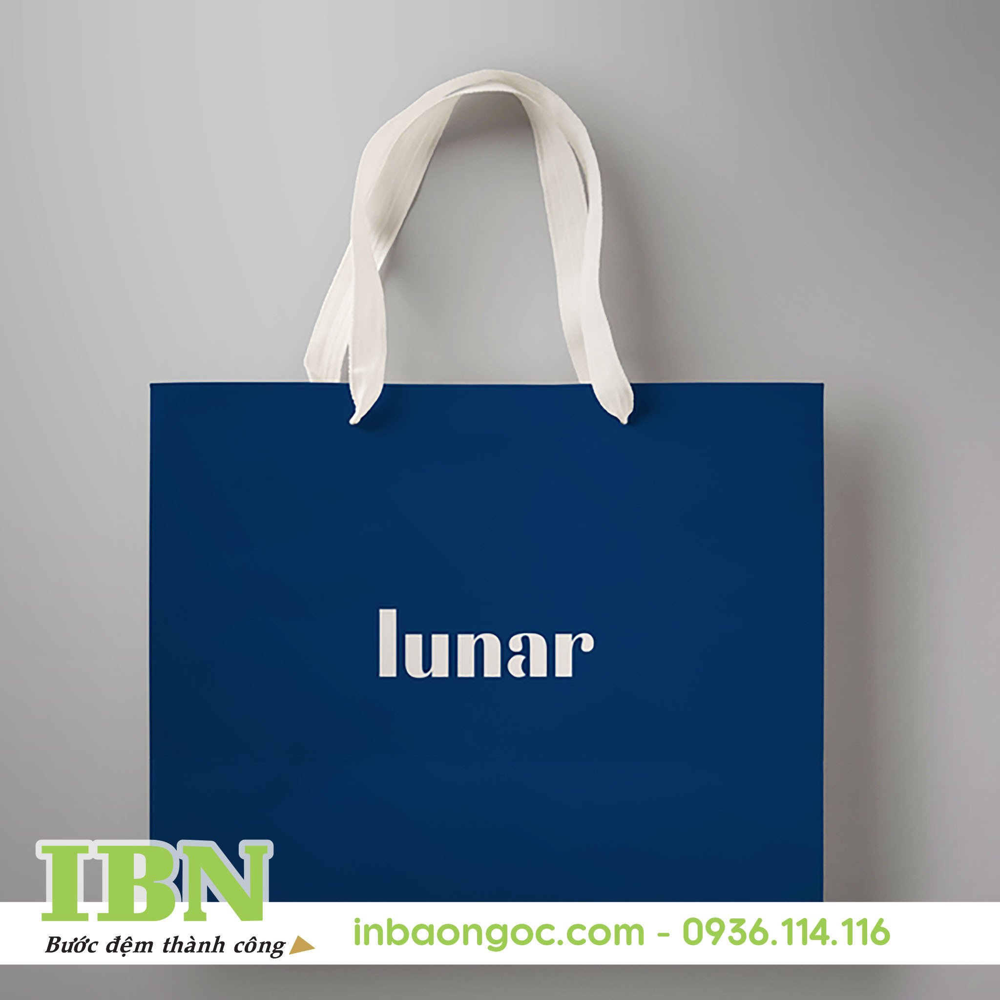 mau tui giay cho shop thoi trang (8)