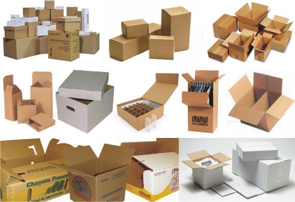 in hop carton (5)