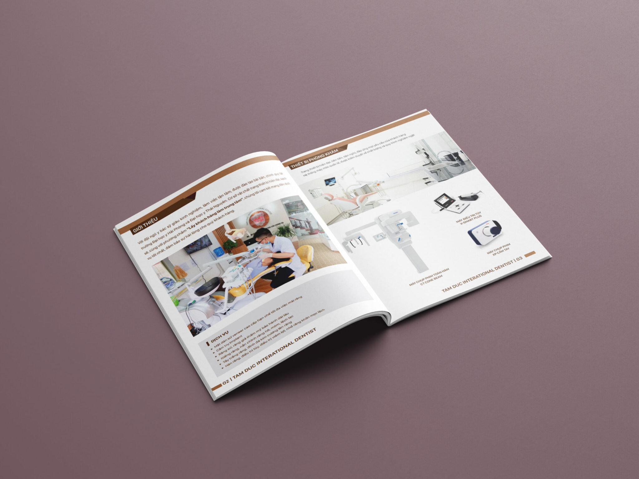 30+ Mẫu Catalogue Đẹp Thiết Kế Theo Xu Hướng Hiện Nay In Bảo Ngọc