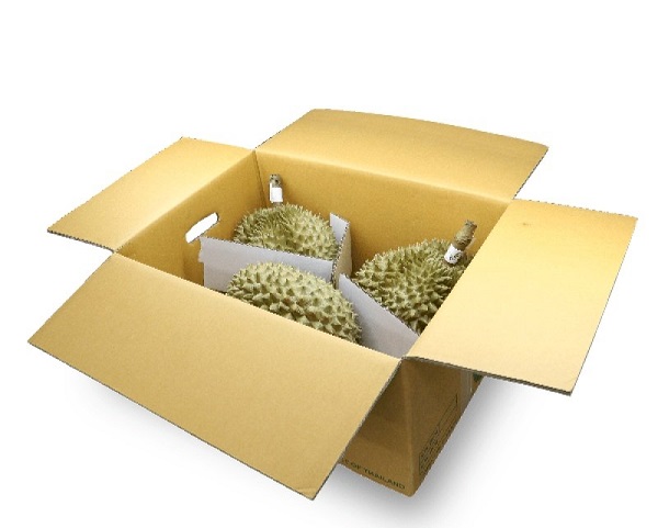 Thùng Carton Đựng Sầu Riêng 21 Kích thước thùng carton đựng sầu riêng
