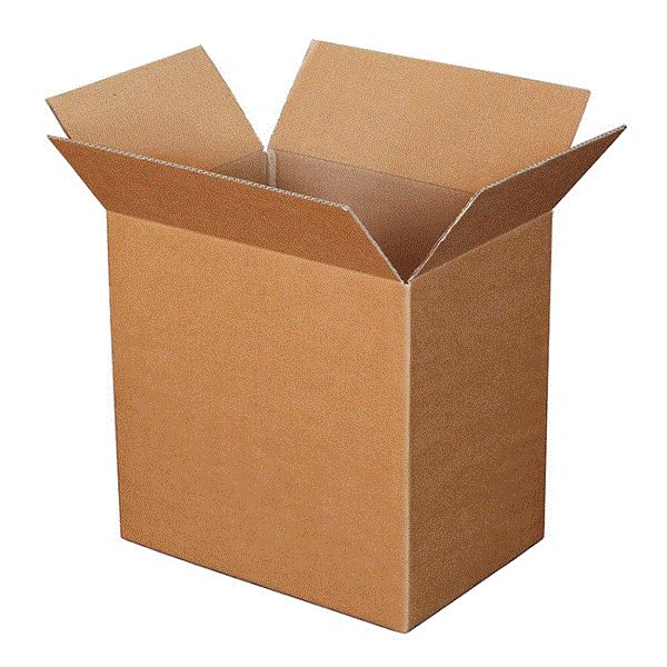 Mẫu hộp giấy chữ nhật bằng carton - 1
