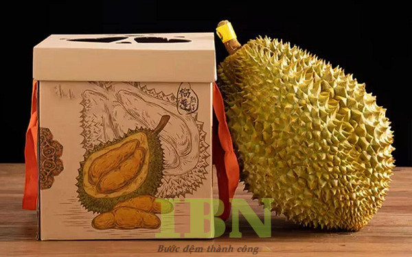 Hộp Carton Nhỏ 40 Mẫu hộp carton nhỏ đựng sầu riêng có quai xách