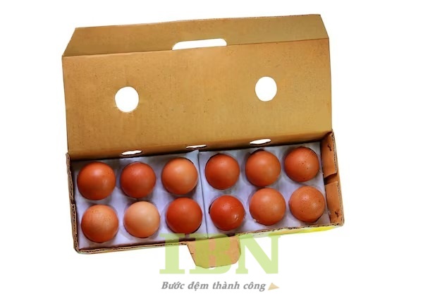 Hộp Carton Nhỏ 57 Mẫu hộp giấy carton đựng trứng, kiểu nắp gài, bế lỗ thông khí