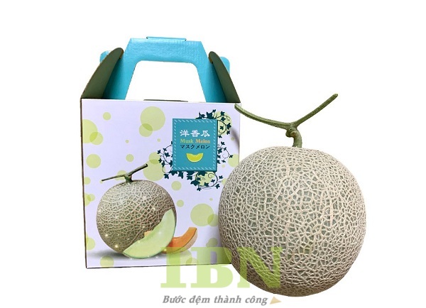 Hộp Carton Nhỏ 44 Mẫu bao bì hộp carton nhỏ bồi đựng dưa lưới
