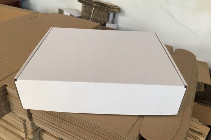 hộp carton trắng - 1