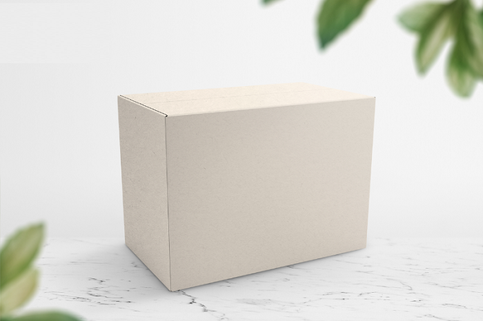 hộp carton trắng - 2