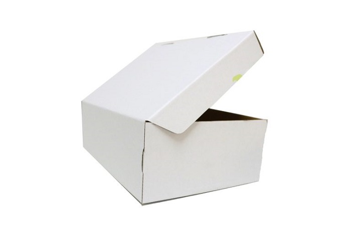 hộp carton trắng - 7