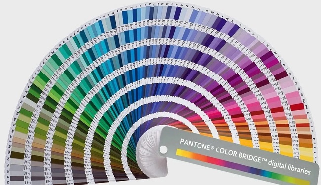 Đặc điểm của màu pantone