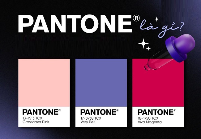 Pantone là gì? 