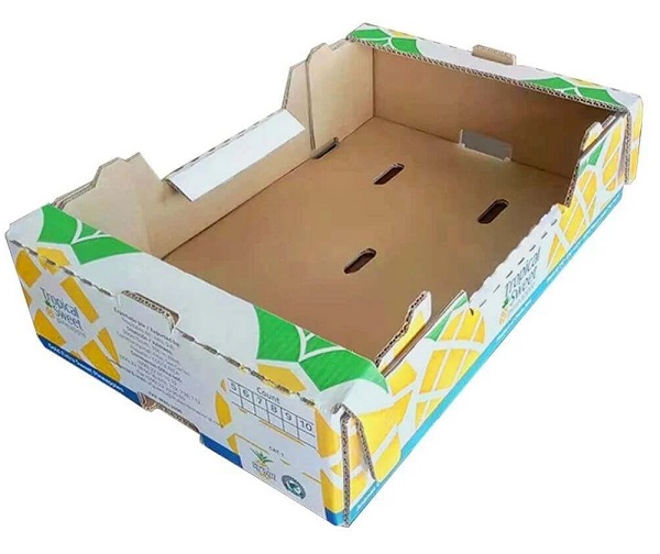 Ứng dụng thực tế của các mẫu khay carton