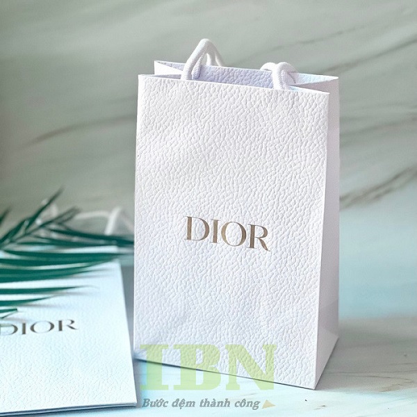 Mẫu túi giấy đựng trang sức cao cấp, sang trọng, dáng đứng, thương hiệu Dior
