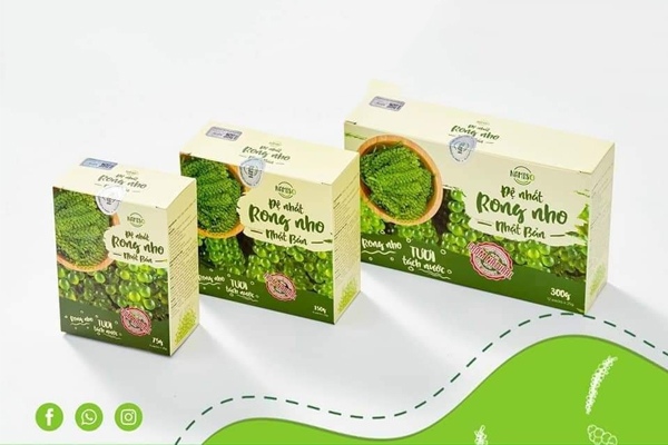 Hộp giấy đựng rong nho nắp gài hai đầu