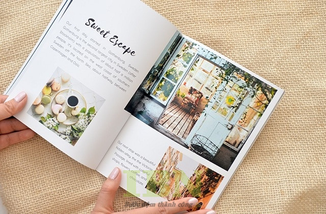 Câu hỏi thường gặp
