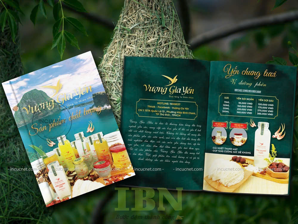 Mẫu catalogue yến chưng tươi