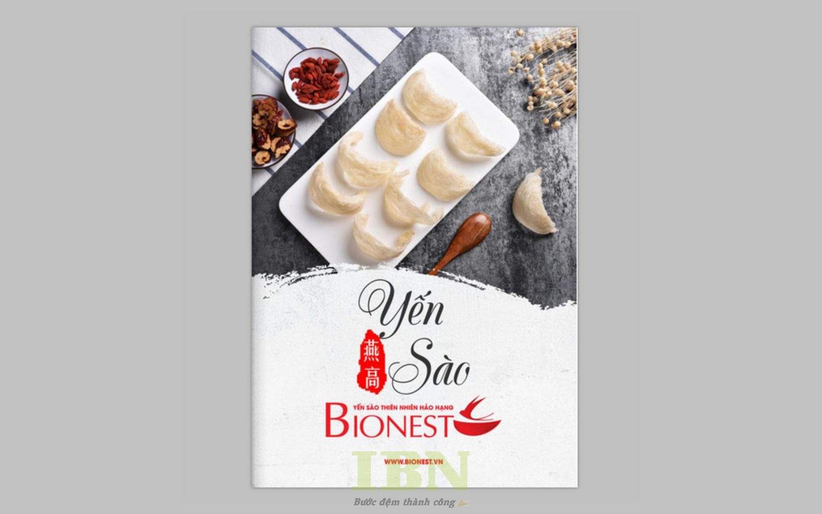 Mẫu catalogue yến sào ấn tượng