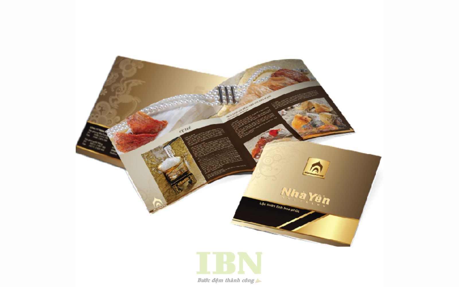 Mẫu catalogue yến sào đẹp