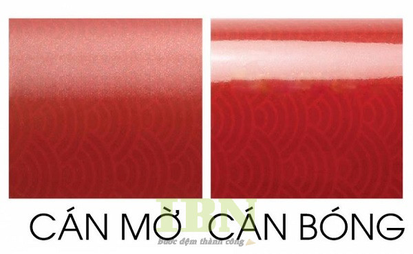Mẫu decal cán màng