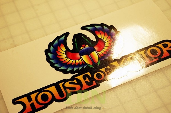 Mẫu decal cán màng bóng nhiều màu sắc ấn tượng