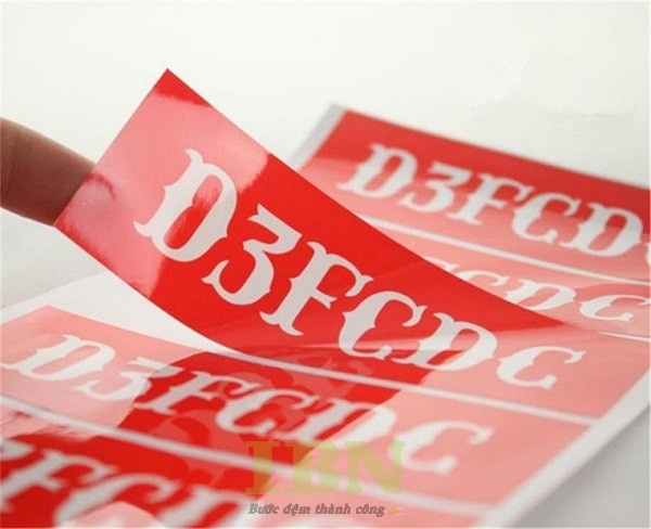 Mẫu decal cán màng bóng thu hút