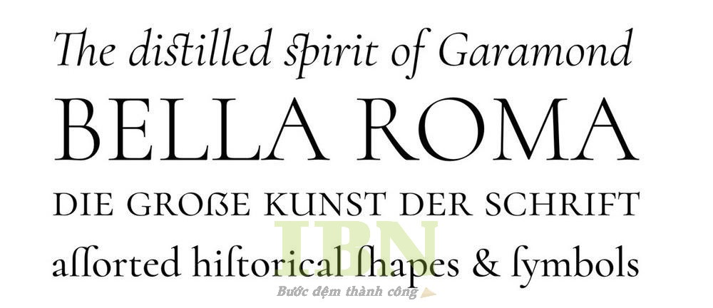 font chữ catalogue chuẩn