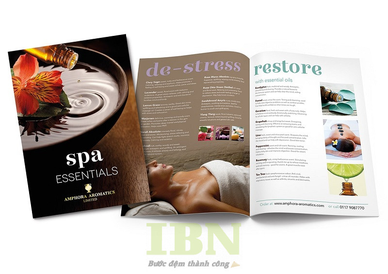Mẫu catalog spa ấn tượng