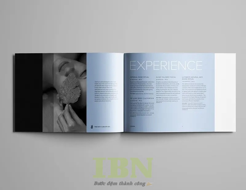 Mẫu catalogue spa sang trọng hiện đại