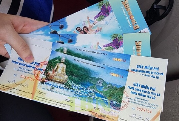 Mẫu vé vào cổng thiết kế đẹp