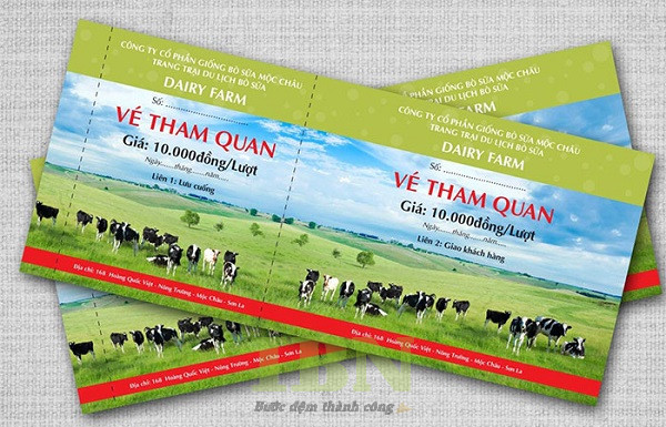 Mẫu vé vào cổng khu tham quan