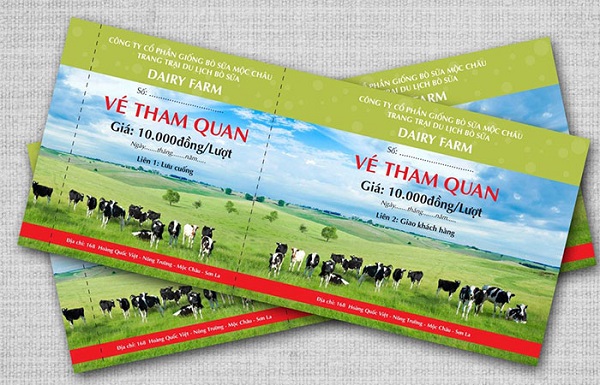 In vé vào cổng bằng chất liệu giấy