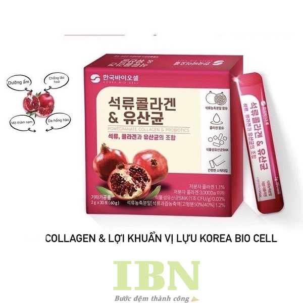Mẫu hộp đựng collagen lựu đỏ