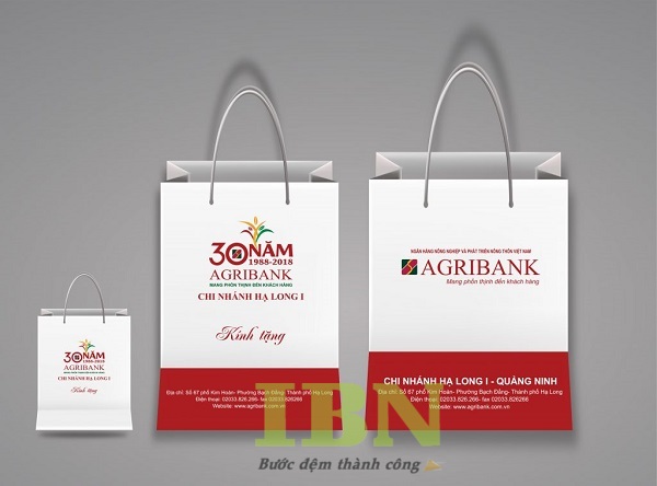 Mẫu túi giấy ngân hàng Agribank