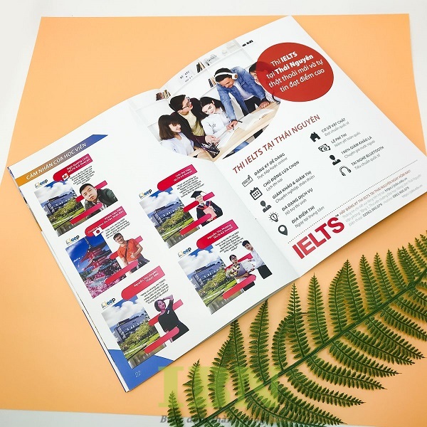 Mẫu brochure du học kiểu gập đôi