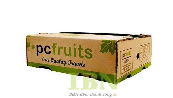Thùng Carton Đựng Nho 21 Tại sao cần in thùng carton chuyên dụng cho nho tươi?