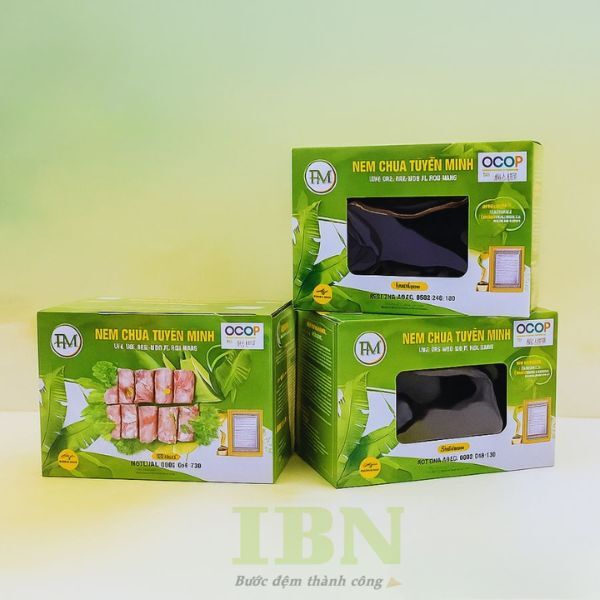 Mẫu hộp giấy đựng nem chua hình chữ nhật, có nắp kính
