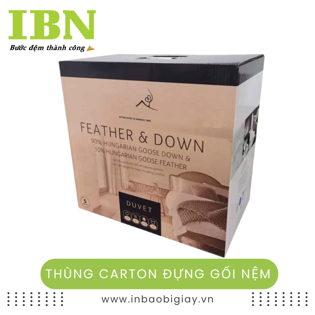 Thùng Carton Đựng Gối Nệm 17 thùng carton đựng gối nệm