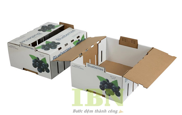 Mẫu thùng giấy carton đựng nho 3 lớp